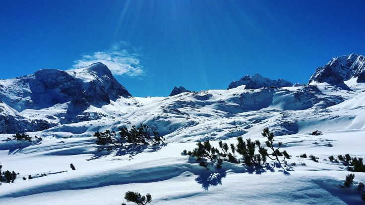 IMG_20170311_162027_439