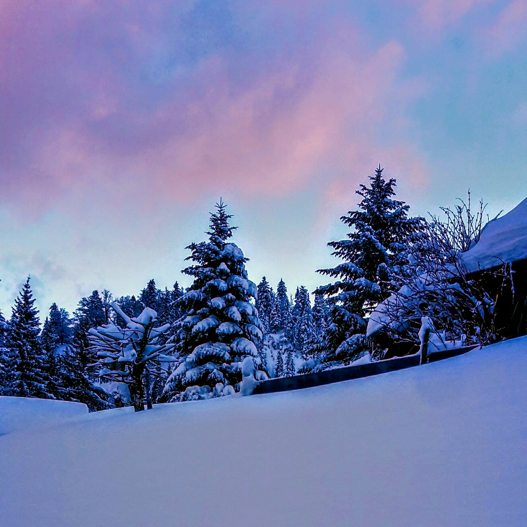 IMG_20180120_211732_331