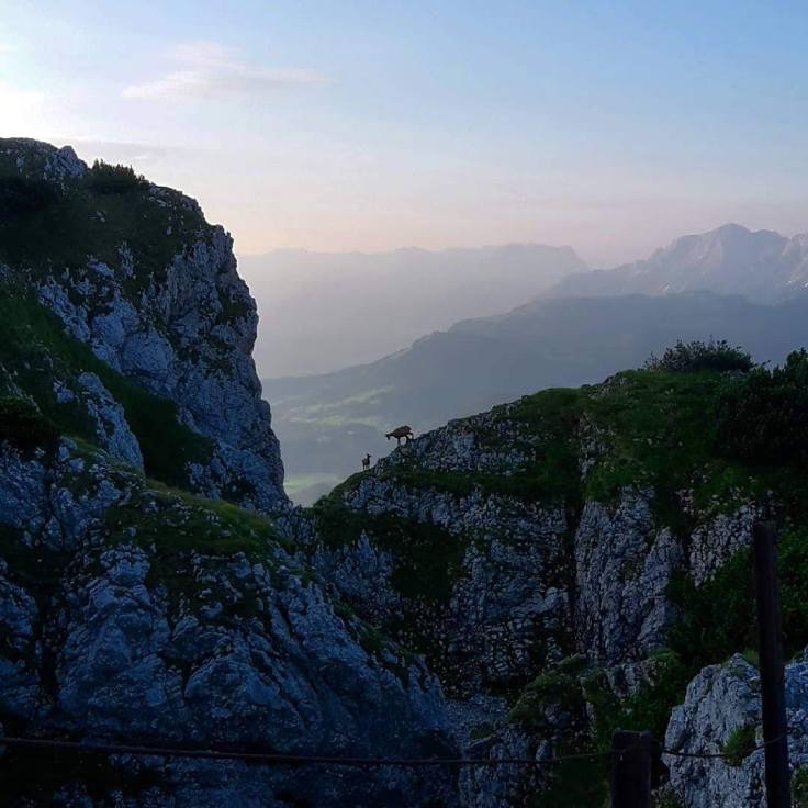 IMG_20180721_171817_484