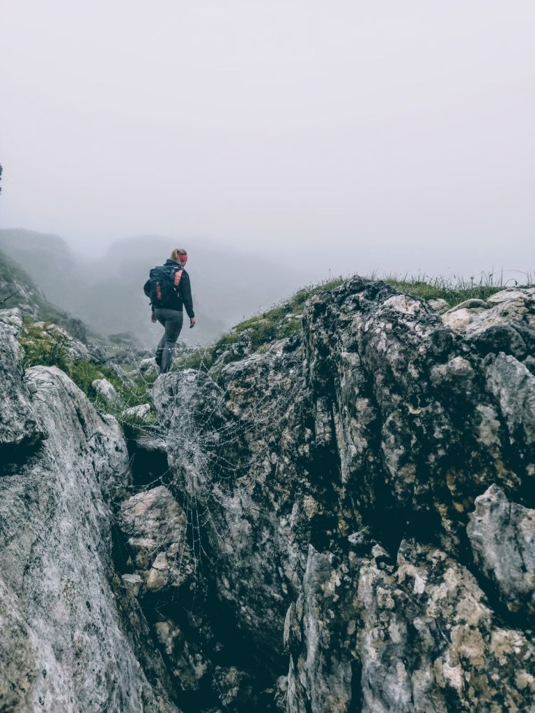 Spinnennetz im Morgentau